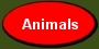 Animal Safety